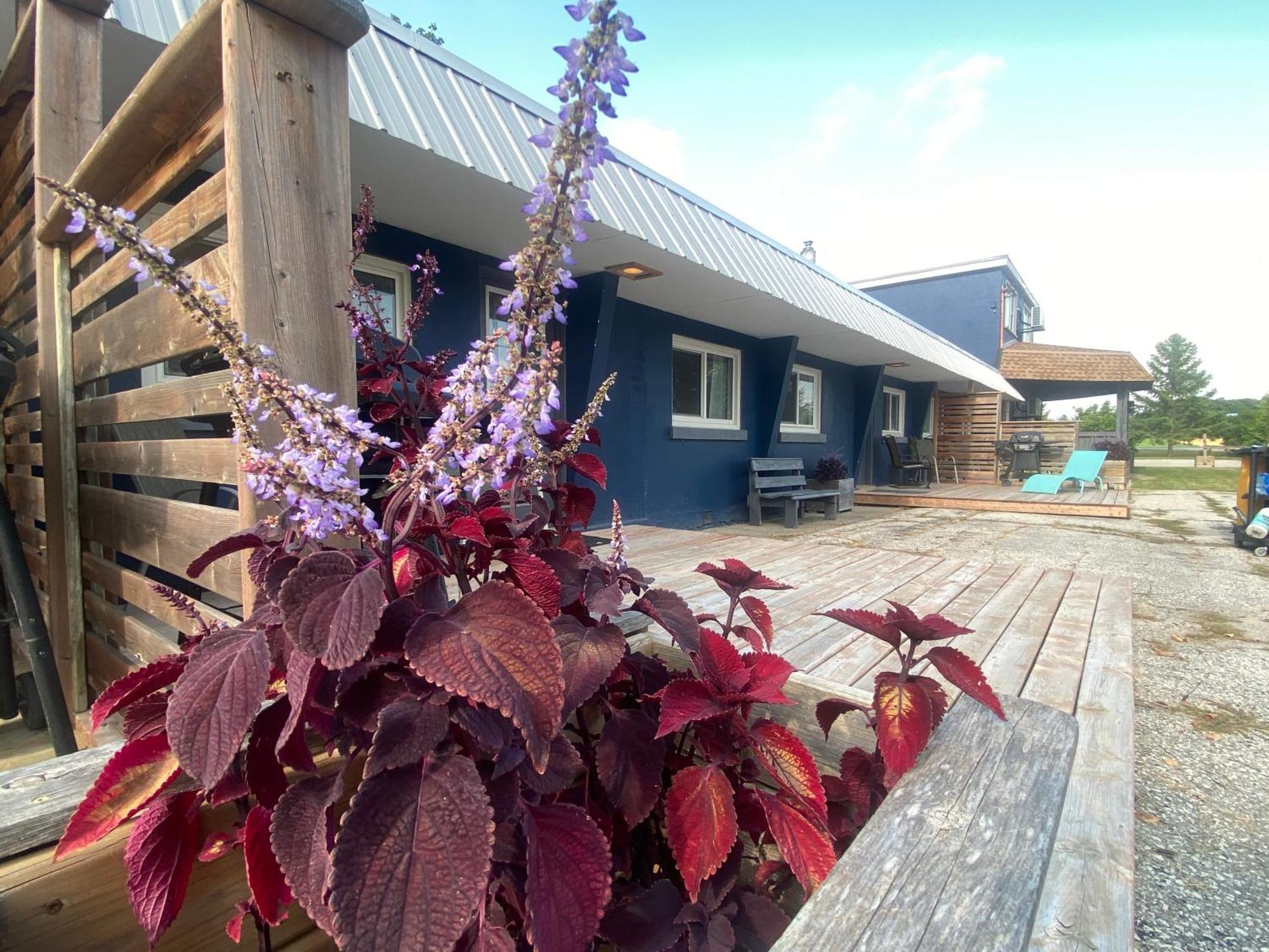 South Shore Suites Bayfield Exterior foto